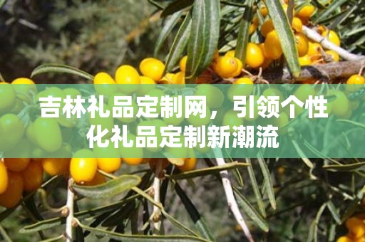 吉林礼品定制网，引领个性化礼品定制新潮流