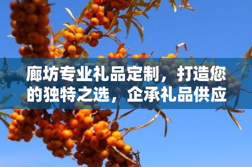 廊坊专业礼品定制，打造您的独特之选，企承礼品供应链助力商务之选