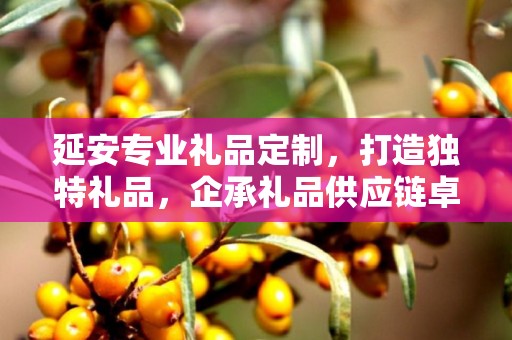 延安专业礼品定制，打造独特礼品，企承礼品供应链卓越服务