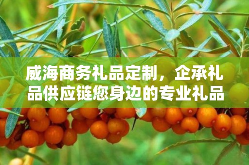 威海商务礼品定制，企承礼品供应链您身边的专业礼品定制公司