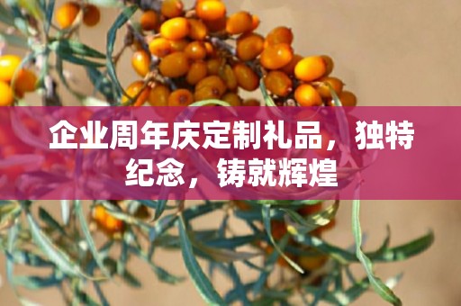 企业周年庆定制礼品，独特纪念，铸就辉煌