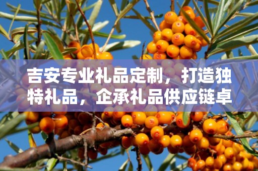 吉安专业礼品定制，打造独特礼品，企承礼品供应链卓越之选