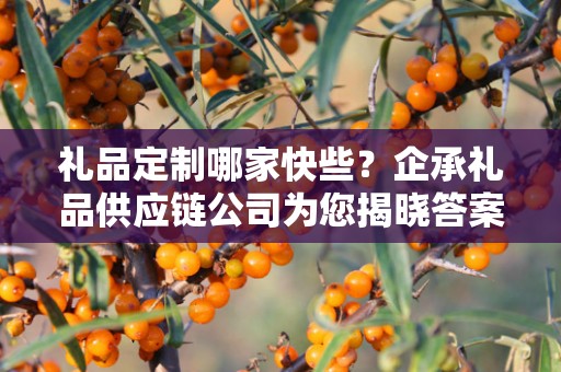 礼品定制哪家快些？企承礼品供应链公司为您揭晓答案